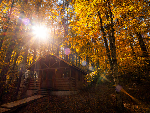 Cabin in the woods, Yedigöller, Bolu/Turkey
