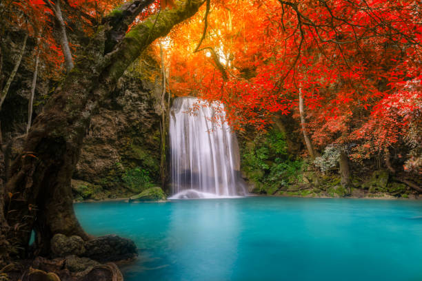 istock Waterfall in autumn forest at Erawan National Park, Thailand 1064588318