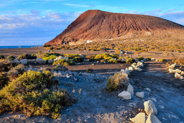 istock Landscape in Tenerfe Tropical Volcanic Canary Islands Spain 1064591018