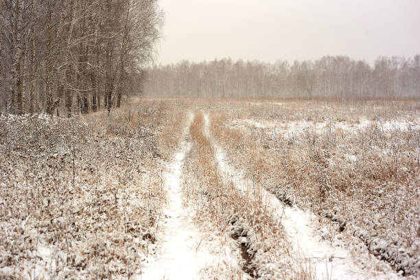 istock dirt road in snow 1064591512