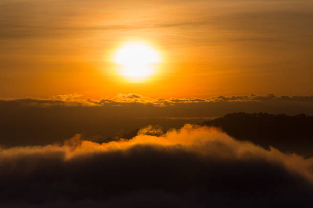Mist in the morning of winter