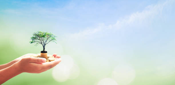 istock Government pension fund concept 1064594714