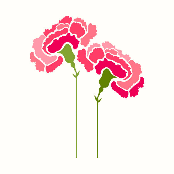 ilustraciones, imágenes clip art, dibujos animados e iconos de stock de icono de vector de flor clavel, diseño de símbolo - caryophyllaceae