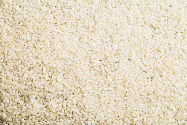 raw rice background stock photo