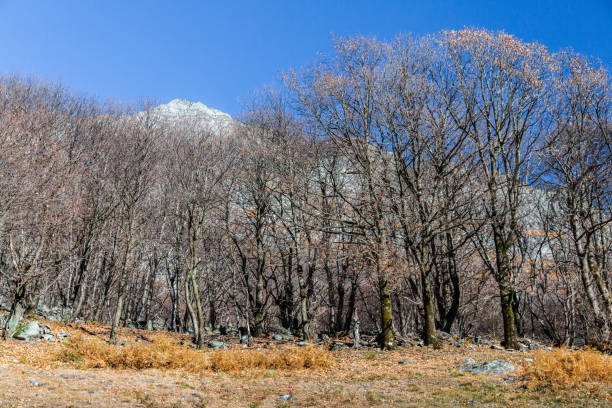 istock Swiss Alps in Late Autumn 1064599750