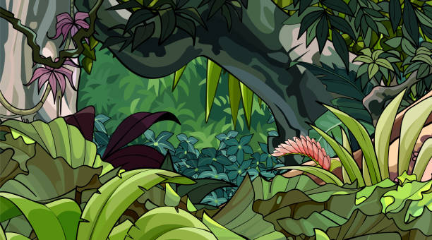 istock cartoon tropical forest with a variety of lush vegetation 1064607356