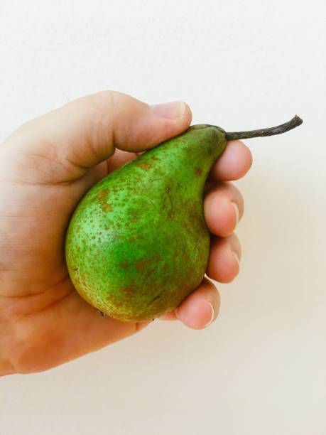 istock Cropped Hand Holding Fruit Against White Background 1064611436