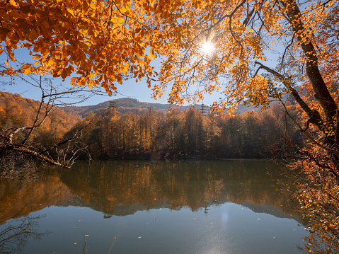 Orange leaves and beautiful lake. Taken with medium format camera.