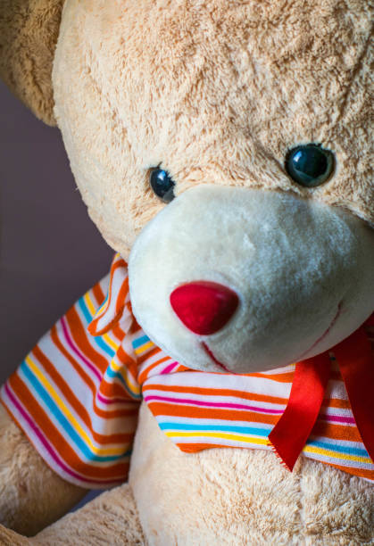 istock Close up of brown teddy bear 1064619124