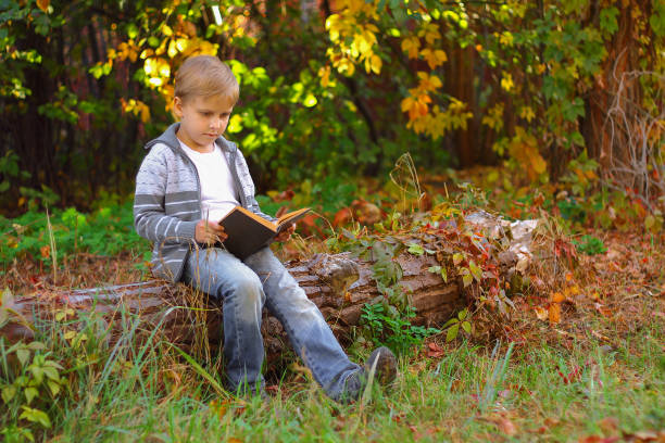 istock boy sitting in the woods on a log 1064620642