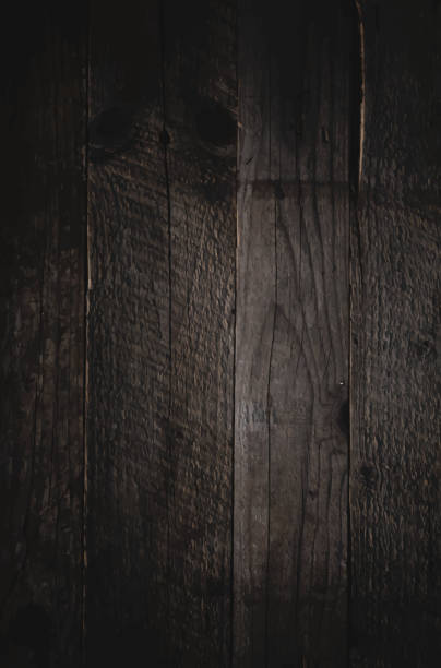 Texture of wooden panels Texture of wooden panels dark wood texture stock illustrations