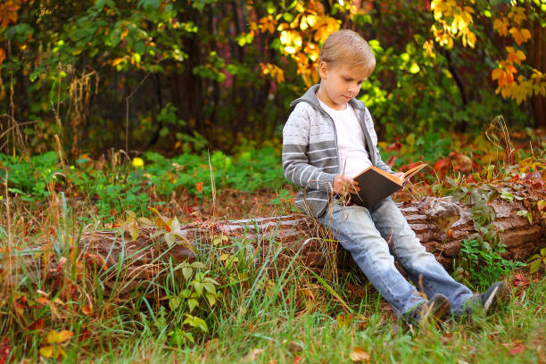istock boy sitting in the woods on a log 1064631372