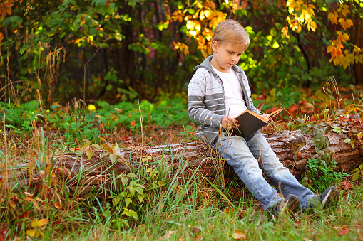 boy sitting in the woods on a log and reading a bookboy sitting in the woods on a log and reading a book