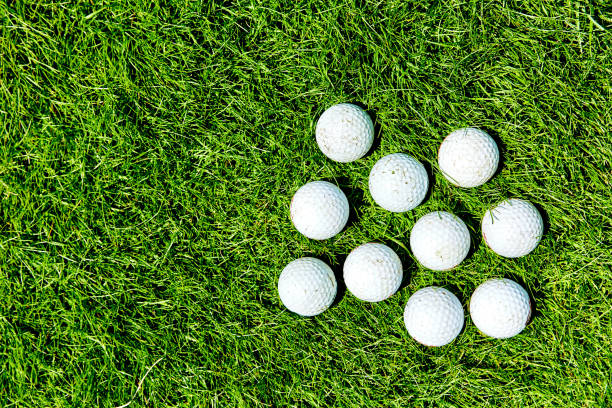 istock gofa balls in the grass 1064631386