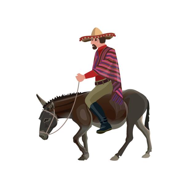 Man riding donkey Man riding his donkey. Vector illustration isolated on white background mexican mule stock illustrations
