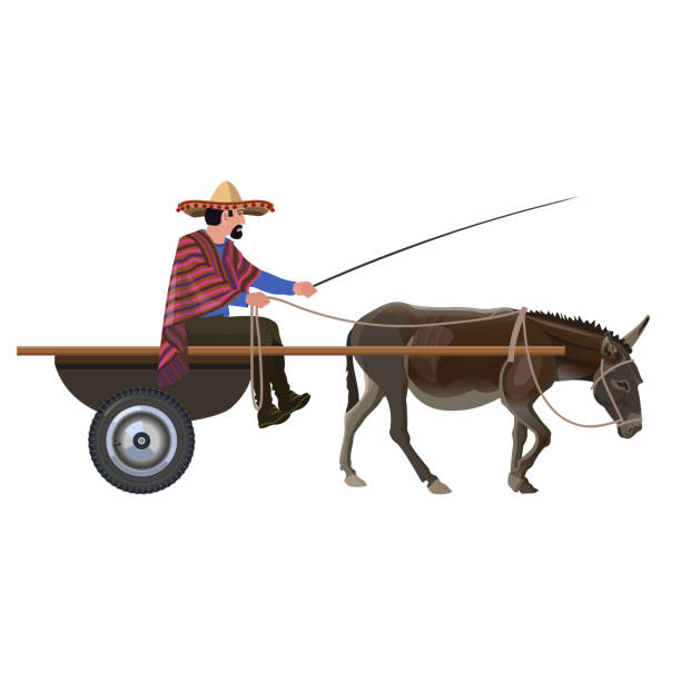 Man with in donkey cart Man in donkey cart. Vector illustration isolated on white background mexican mule stock illustrations