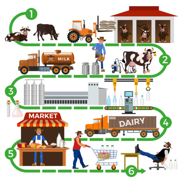 ilustrações de stock, clip art, desenhos animados e ícones de the dairy supply chain - milk industry milk bottle factory