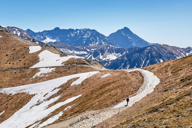istock lonely man goes uphill in the snow 1064632542