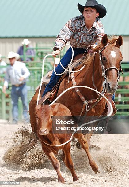 Giovane Vitello Roper - Fotografie stock e altre immagini di Rodeo - Rodeo, Lazo, Cavallo - Equino