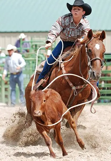 Young cowboy roping a calf in a rodeo competition.