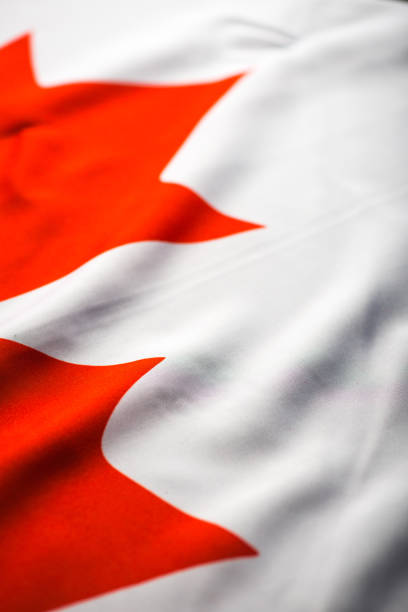 nahaufnahme der studioaufnahme von echten kanadischen flagge - canadian culture flash stock-fotos und bilder