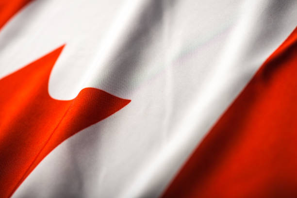 close-up tiro studio da bandeira real canadiana - canadian culture flash - fotografias e filmes do acervo