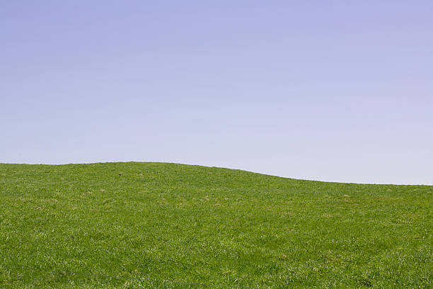 istock Horizontal Blue Sky and Green Meadow 106464590