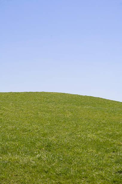 istock Vertical Blue Sky and Green Meadow 106464597