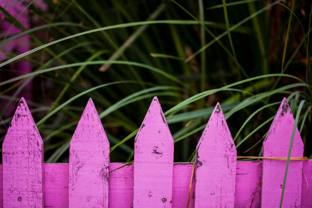pink fence stock photo