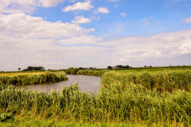 istock European natural countryside 1064651348