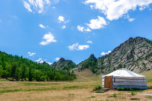 A yurt is a portable, felt-covered, wood lattice-framed dwelling structure traditionally used by nomads in the steppes of Central Asia. A yurt is more home-like than a tent in shape and build, with thicker walls. They are popular amongst nomads.http://bem.2be.pl/IS/mongolia_380.jpg