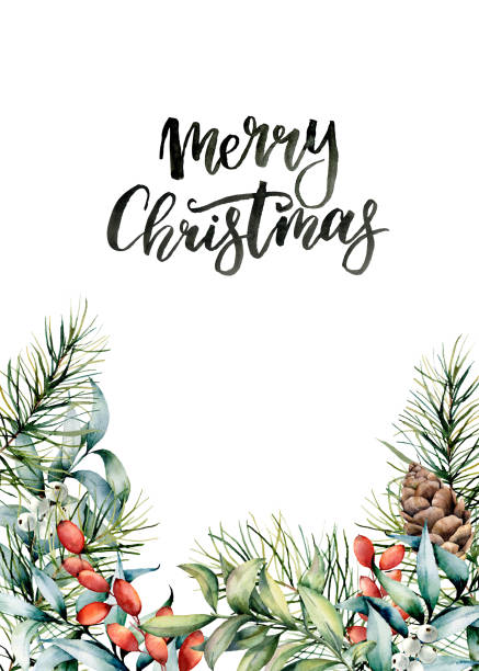 メリー クリスマスの文字水彩冬花カード。手描きのユーカリの葉、モミ枝、ベリー、ヤドリギ、パイン コーン ホワイト バック グラウンドに分離されました。設計のホリデー印刷 - pine tree pine cone branch isolated点のイラスト素材／クリップアート素材／マンガ素材／アイコン素材