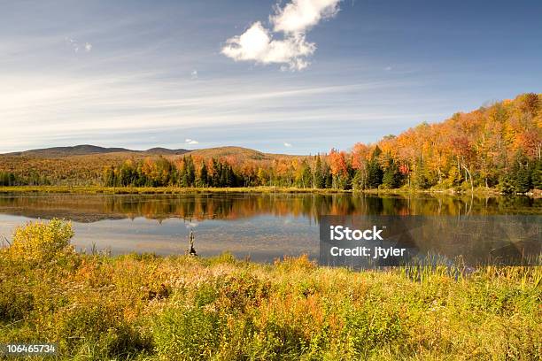 Autumn In Vermont Stock Photo - Download Image Now - Autumn, Autumn Leaf Color, Change
