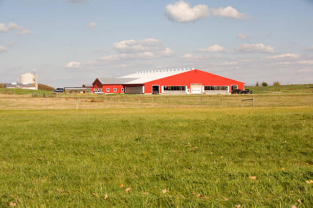 rosso di un fienile - vermont farm dairy farm agricultural building foto e immagini stock