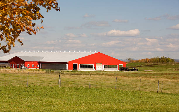 rosso di un fienile - vermont farm dairy farm agricultural building foto e immagini stock