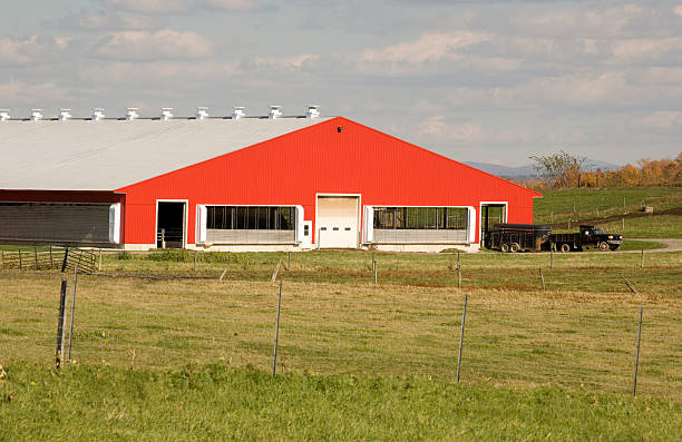 레드 우리 - vermont farm dairy farm agricultural building 뉴스 사진 이미지