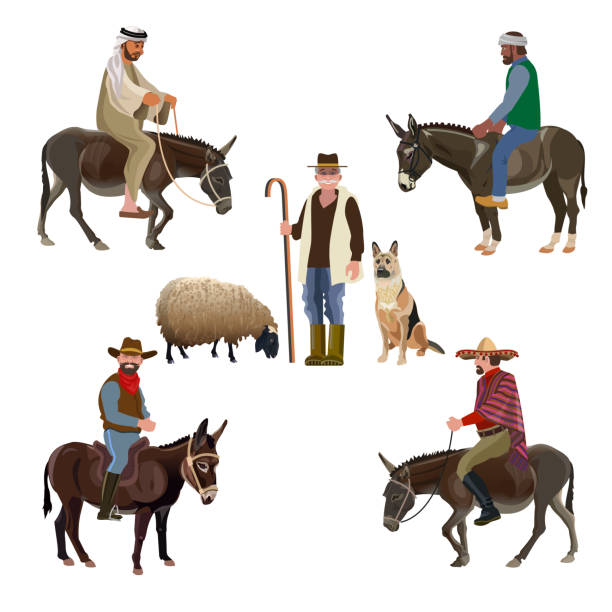 Set of vector shepherds Set of vector shepherds of different nationalities. Men riding a donkey. Vector illustration isolated on white background mexican mule stock illustrations