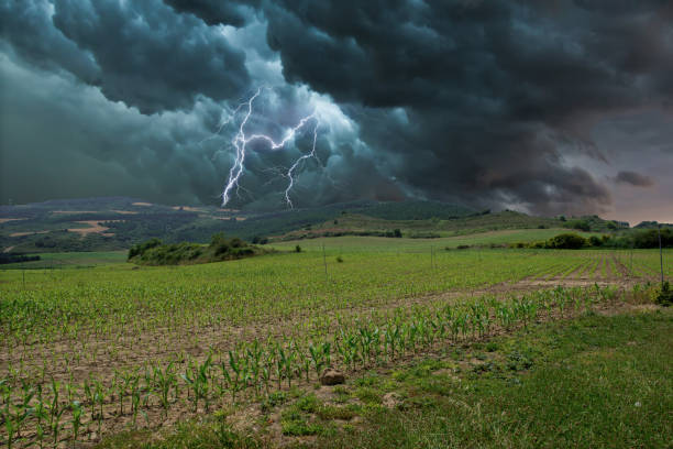 istock Electric storm with rays in the field 1064660962