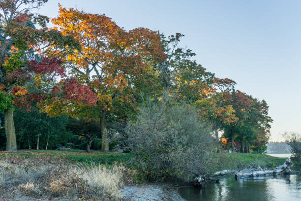 istock Lake Washington Autumn Colors 5 1064662046