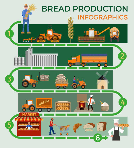 ilustraciones, imágenes clip art, dibujos animados e iconos de stock de proceso de elaboración del pan - bread cereal plant