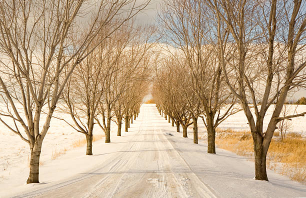 Winter Afternoon - Horizontal stock photo