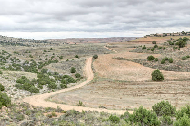istock An unpaved GR24 path going through cultivated hills and ploughed fields during a cloudy autumn next to Calmarza, Aragon region, Spain 1064673936