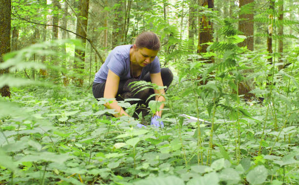 istock Woman ecologist taking samples of a soil 1064674030
