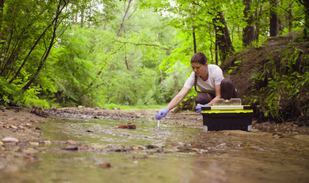 Woman ecologist taking samples of water from the creek Woman scientist environmentalist sitting near the creek. She taking sample of water wet area stock pictures, royalty-free photos & images