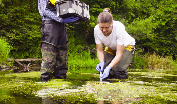 Woman scientist ecologist taking samples of water Man and woman scientist environmentalist standing in a river. Woman taking sample of water. Man holding toolbox ecologist stock pictures, royalty-free photos & images