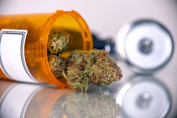 istock Medical marijuana concept with dry cannabis buds and stethoscope 1064677654