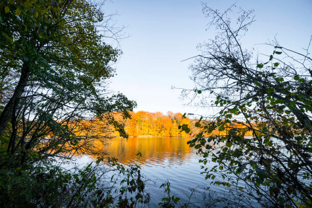 istock View over a lake in the fall with trees in autumn colors 1064679632