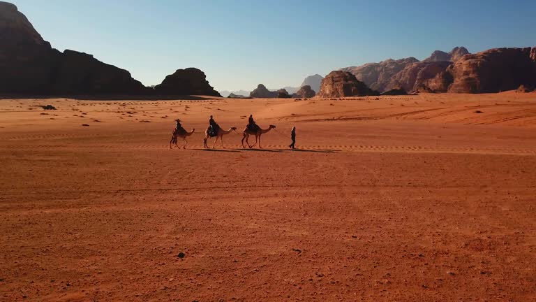 Caravan of camels walking in the Wadi Rum desert in Jordan on a sunny day