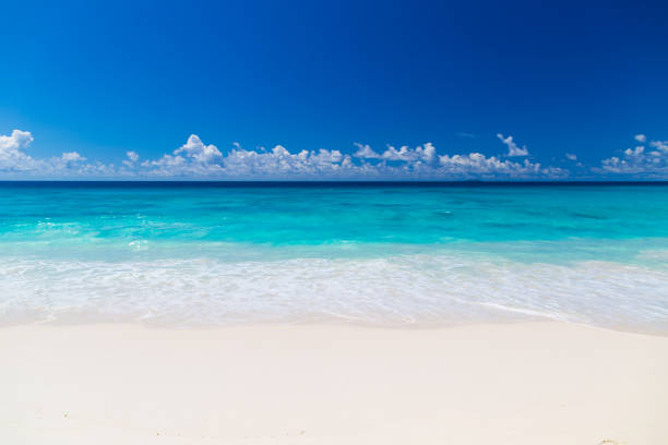 istock Amazing tropical beach on Seychelles 1064680368