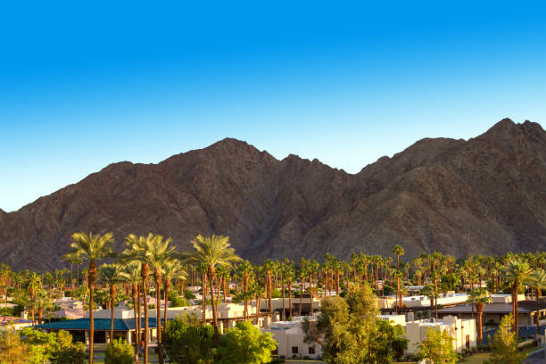 istock Mountain and palm trees view in Indian Wells, California 1064682384